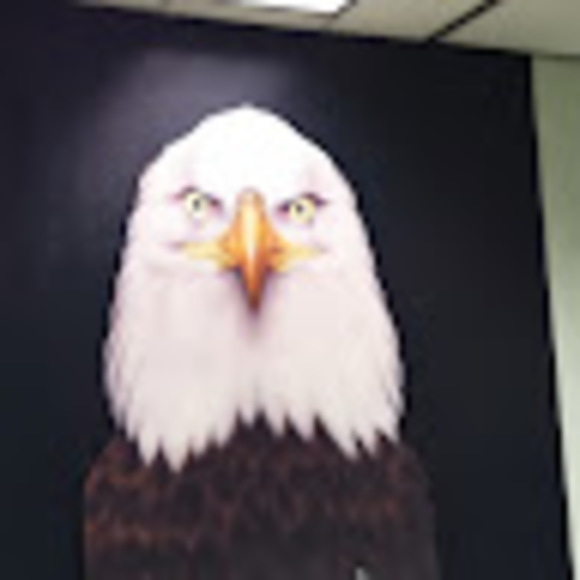 Meet your Posher, Don - Picture 1 of 1